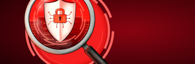 Vulnerability Assessment & Security Auditing